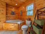 Drink Up the View - master bath with jacuzzi tub